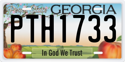 GA license plate PTH1733