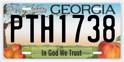 GA license plate PTH1738