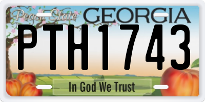 GA license plate PTH1743