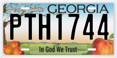 GA license plate PTH1744