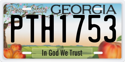 GA license plate PTH1753