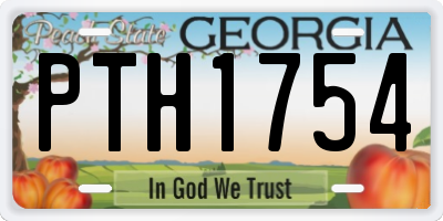 GA license plate PTH1754