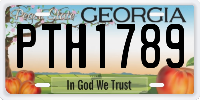 GA license plate PTH1789