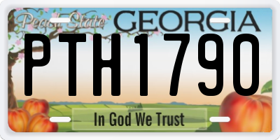 GA license plate PTH1790