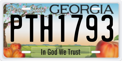 GA license plate PTH1793