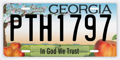 GA license plate PTH1797