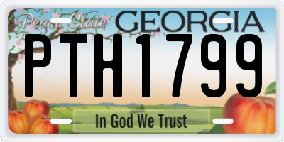 GA license plate PTH1799