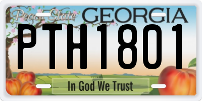 GA license plate PTH1801