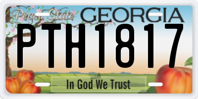 GA license plate PTH1817