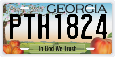 GA license plate PTH1824