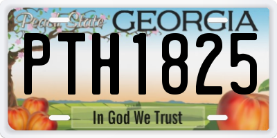 GA license plate PTH1825