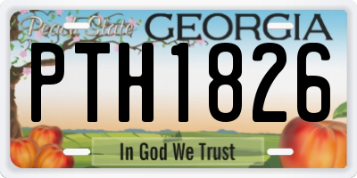 GA license plate PTH1826