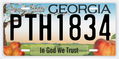 GA license plate PTH1834