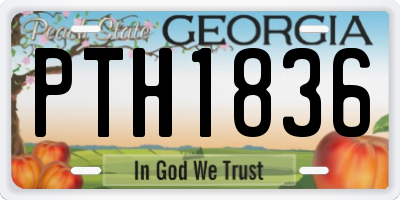 GA license plate PTH1836