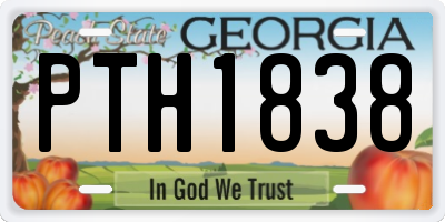 GA license plate PTH1838