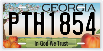 GA license plate PTH1854