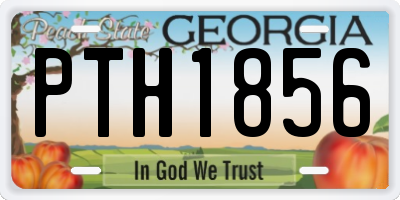 GA license plate PTH1856