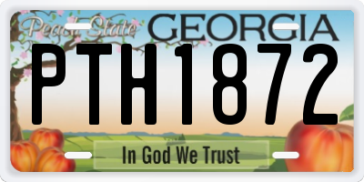 GA license plate PTH1872