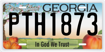 GA license plate PTH1873