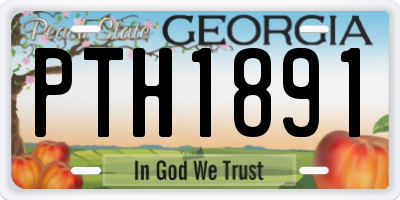 GA license plate PTH1891