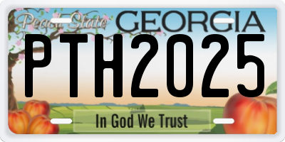 GA license plate PTH2025
