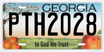 GA license plate PTH2028