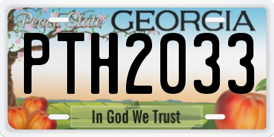 GA license plate PTH2033