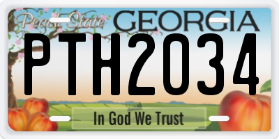 GA license plate PTH2034