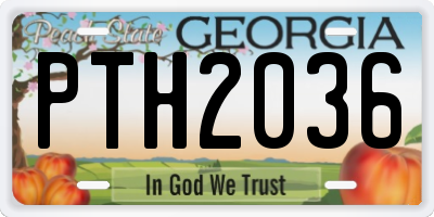 GA license plate PTH2036