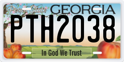 GA license plate PTH2038