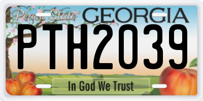 GA license plate PTH2039