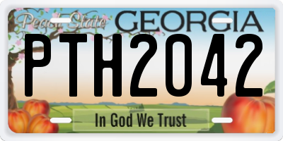 GA license plate PTH2042