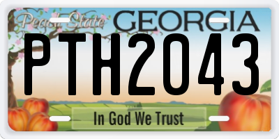 GA license plate PTH2043