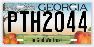 GA license plate PTH2044