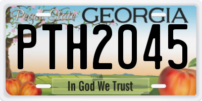 GA license plate PTH2045