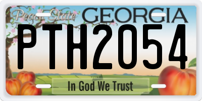 GA license plate PTH2054