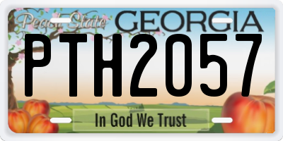 GA license plate PTH2057