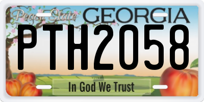 GA license plate PTH2058