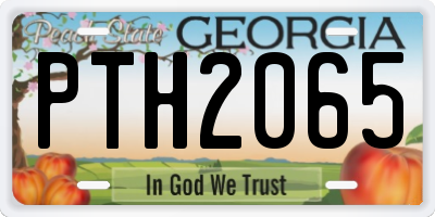 GA license plate PTH2065