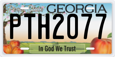 GA license plate PTH2077