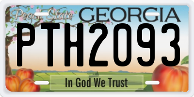 GA license plate PTH2093