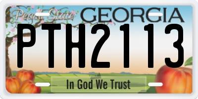 GA license plate PTH2113