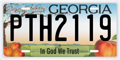 GA license plate PTH2119
