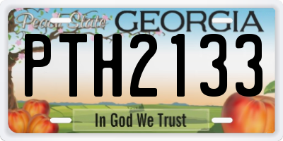 GA license plate PTH2133