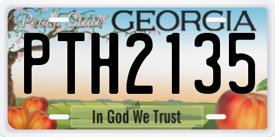 GA license plate PTH2135
