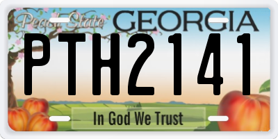 GA license plate PTH2141