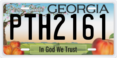 GA license plate PTH2161