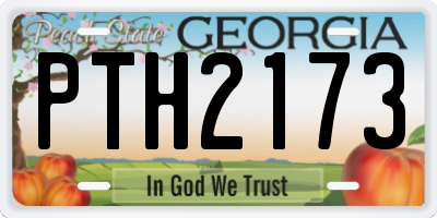 GA license plate PTH2173
