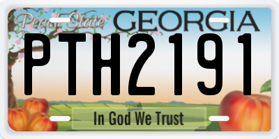 GA license plate PTH2191