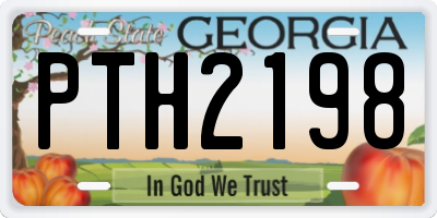 GA license plate PTH2198